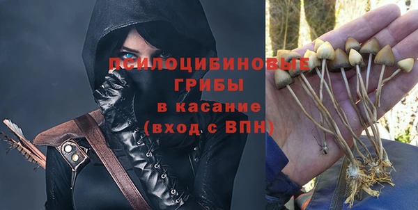 твердый Алзамай