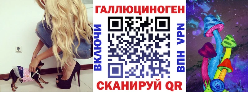 Галлюциногенные грибы Psilocybine cubensis  Ковров 