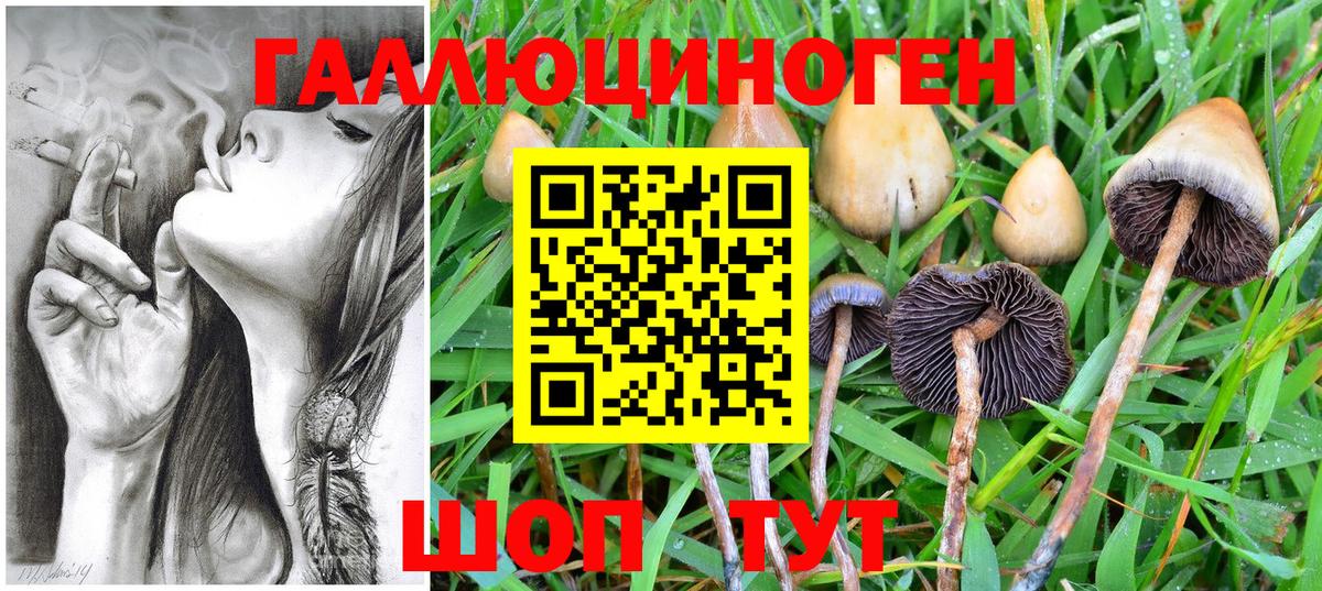 Галлюциногенные грибы ЛСД  Галлюциногенные грибы ЛСД  Ковров  Вход с VPN 