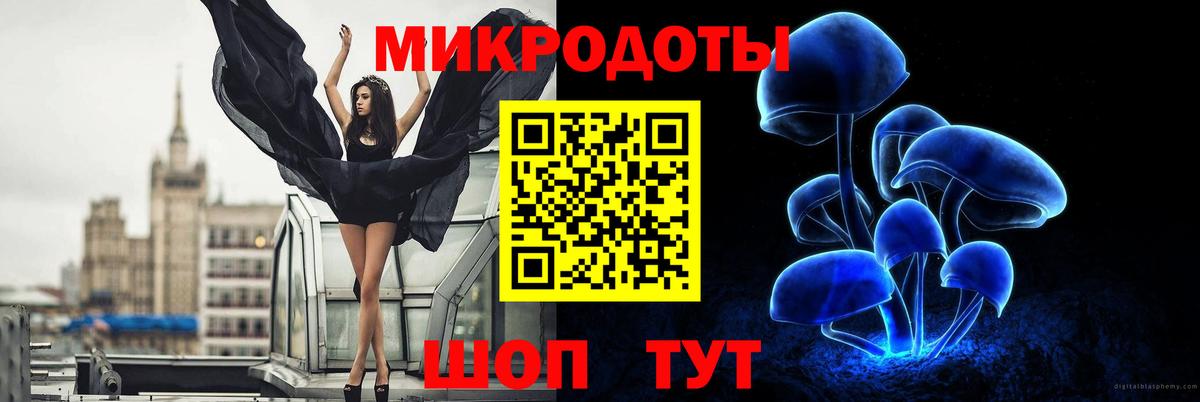Псилоцибиновые грибы прущие грибы Ковров
